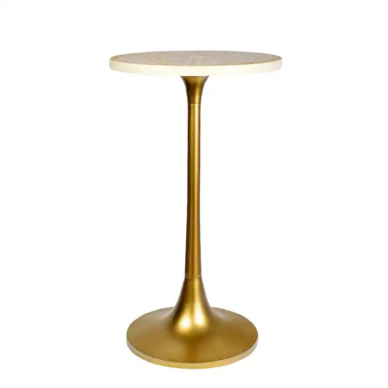 Table d'appoint ronde moderne bohème 63,5 cm en métal et résine incrustée